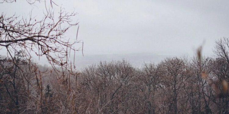 У Запоріжжі потеплішає на вихідних – який прогноз погоди | Новости Запорожья
