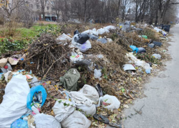 У Запоріжжі виявили чергове сміттєзвалище – екологи розповіли подробиці  | Новости Запорожья