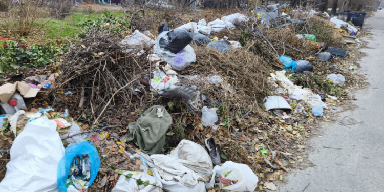 У Запоріжжі виявили чергове сміттєзвалище – екологи розповіли подробиці | Новости Запорожья