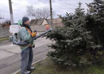 У Запоріжжя проводять антивандальну обробку ялинок – Зеленбуд | Новости Запорожья