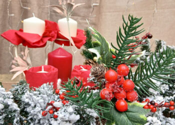 У запорізькому ботанічному саду відкрили новорічну фотозону – фото та відео | Новости Запорожья