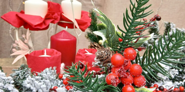 У запорізькому ботанічному саду відкрили новорічну фотозону – фото та відео | Новости Запорожья