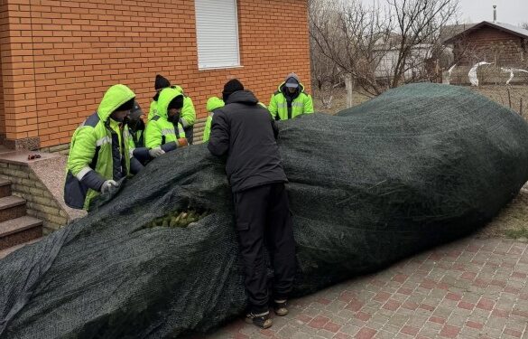 У Золотоноші встановлюватимуть різдвяну ялинку 