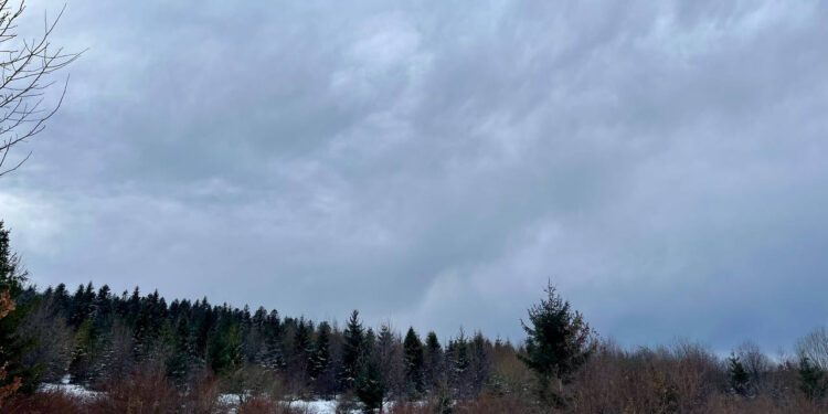 Відомо, якою буде погода на Івано-Франківщині четвертого грудня
