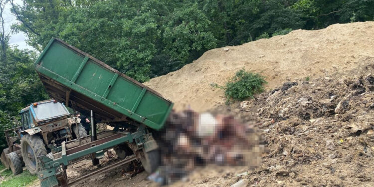 Забруднювали землі під Полтавою: судитимуть директора