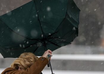 Жовтий рівень небезпеки: на Черкащині буде вітряно