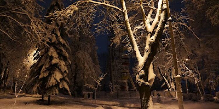 1 січня у рівненському парку виявили тіло чоловіка: ним виявився шепетівчанин —Хмельнитчина