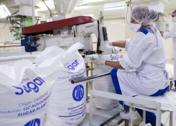 «Астарта» виробила рекордну кількість цукру – ЭКОНОМИКА