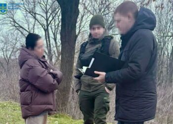 Підприємицю підозрюють у заволодінні 1,7 мільйона гривень з бюджету під час поставки вугілля в школу Кіровоградської області