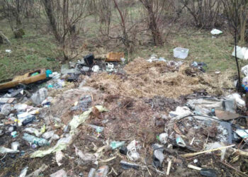 Біля урочища Вирва в Запоріжжі виявили купу сміття – Сергій Ільченко опублікував шокуюче відео | Новости Запорожья