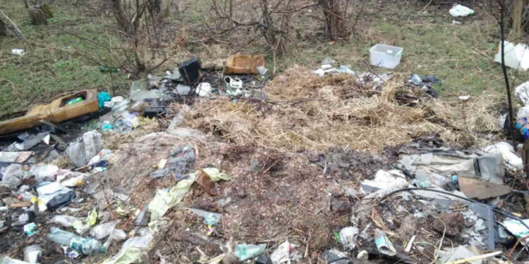 Біля урочища Вирва в Запоріжжі виявили купу сміття – Сергій Ільченко опублікував шокуюче відео | Новости Запорожья