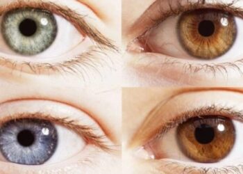 Біохіміки винайшли перші ліки від прогресивної спадкової сліпоти – Экономика