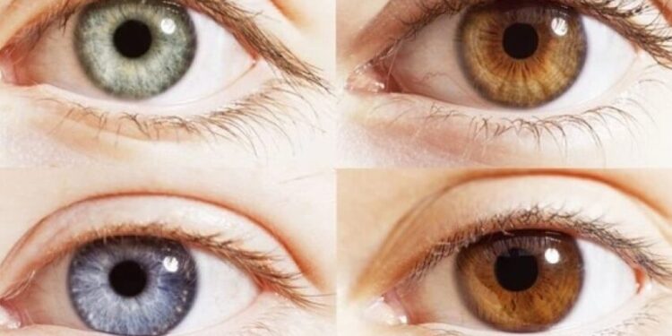 Біохіміки винайшли перші ліки від прогресивної спадкової сліпоти – Экономика