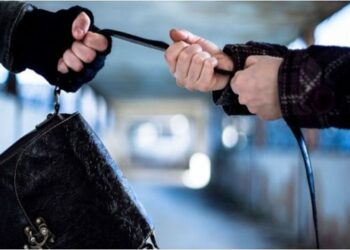 Чоловікові, який викрав у жінки сумку у Смілі, обрали запобіжний захід 