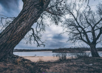 Яка погода буде у Запоріжжі – прогноз на 25, 26 січня, Укргідромет | Новости Запорожья