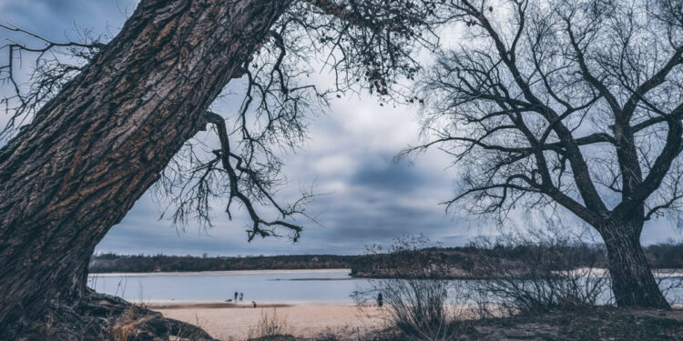 Яка погода буде у Запоріжжі – прогноз на 25, 26 січня, Укргідромет | Новости Запорожья