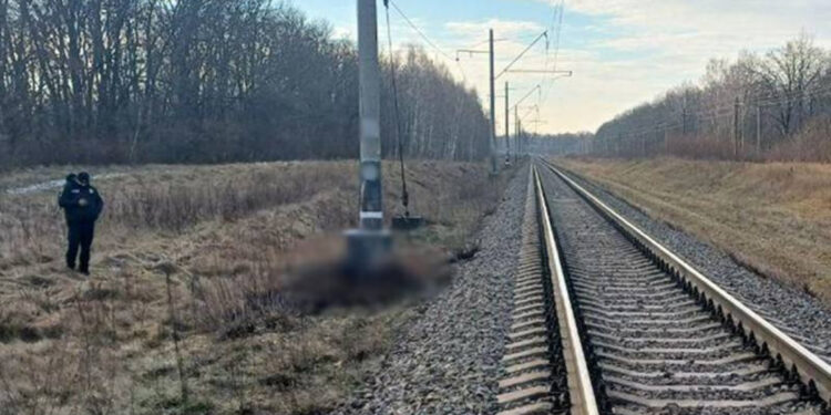 На коліях у Коростенському районі знайшли тіло 32-річного чоловіка | Журнал Житомира