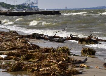 Одещина на межі екологічної катастрофи: загроза Чорному морю (відео) – Ділова Одеса