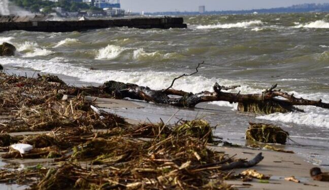 Одещина на межі екологічної катастрофи: загроза Чорному морю (відео) – Ділова Одеса