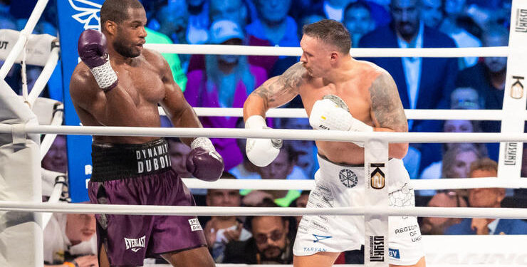 “Он даже не схватился за яйца”: Дюбуа вспомнил удар ниже пояса в бою с Усиком – Спорт ):Бокс