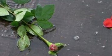 Побила букетом троянд та палицею: у Львові судили студентку