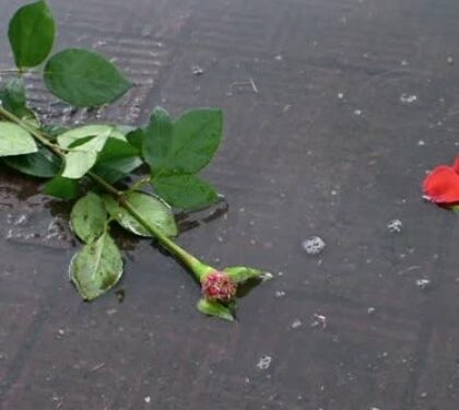 Побила букетом троянд та палицею: у Львові судили студентку