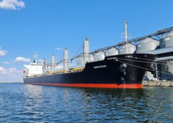 Рекордний вантажообіг українських портів у 2024 році: попри війну – майже 97 млн тонн – Ділова Одеса