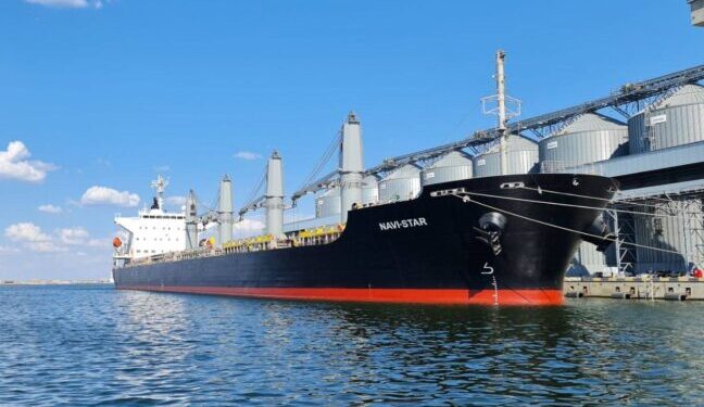 Рекордний вантажообіг українських портів у 2024 році: попри війну – майже 97 млн тонн – Ділова Одеса