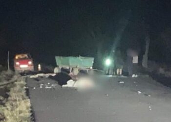 Трагедія на Одещині: під колесами автопоїзда загинув чоловік з конем :: Інтент :: Суспільно-політичне видання:: Регіональна мережа якісної журналістики