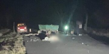 Трагедія на Одещині: під колесами автопоїзда загинув чоловік з конем :: Інтент :: Суспільно-політичне видання:: Регіональна мережа якісної журналістики