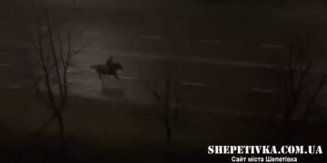 У Нетішині відбулася “епічна погоня” за вершником на коні (відео) —Хмельнитчина