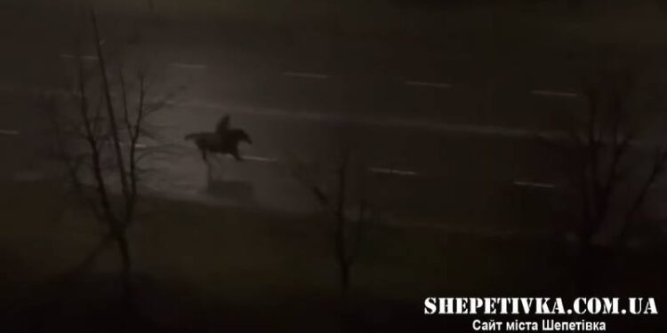 У Нетішині відбулася “епічна погоня” за вершником на коні (відео) —Хмельнитчина