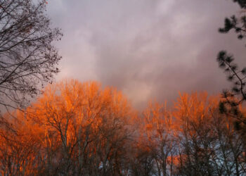 У Запоріжжі 8 січня зафіксували 2 температурних рекорди – деталі від синоптиків | Новости Запорожья