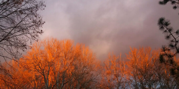 У Запоріжжі 8 січня зафіксували 2 температурних рекорди – деталі від синоптиків | Новости Запорожья