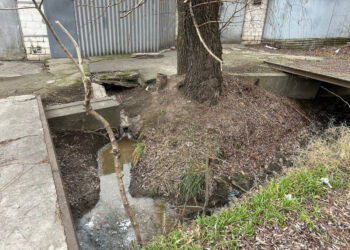 У Запоріжжі екологи перевіряють ймовірне забруднення річки Суха Московка небезпечними речовинами | Новости Запорожья