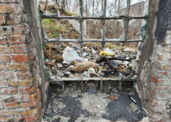 В Олександрівському районі Запоріжжя виявили стихійне сміттєзвалище – держекоінспекція | Новости Запорожья