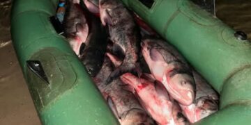 Водний патруль виявив чоловіка, який рибалив сітками — Новости Черкасс