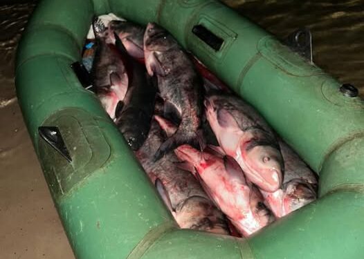 Водний патруль виявив чоловіка, який рибалив сітками — Новости Черкасс