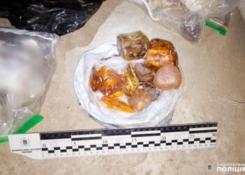 Житель Вараша зберігав 68 кілограмів бурштину вартістю понад пів мільйона гривень