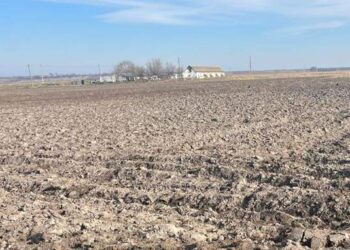 Жителю Одещини повідомили про підозру у захопленні земельної ділянки :: Інтент :: Суспільно-політичне видання:: Регіональна мережа якісної журналістики