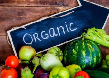 24 українські компанії презентували органічну продукцію в Німеччині – ЭКОНОМИКА