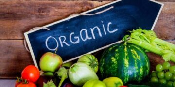24 українські компанії презентували органічну продукцію в Німеччині – ЭКОНОМИКА
