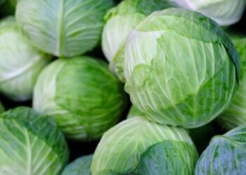 В Україні подешевшала капуста – ЭКОНОМИКА