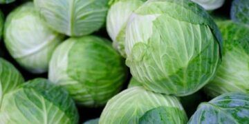 В Україні подешевшала капуста – ЭКОНОМИКА