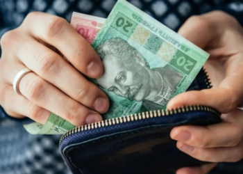 Борги, зайве майно та високі доходи: чому можуть відмовити у субсидії – Экономика