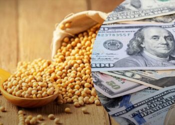 Ціни на сою зросли – ЭКОНОМИКА