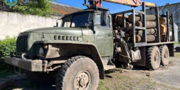 Cудитимуть злочинну групу, яка вирубувала столітні дуби під «кришуванням» правоохоронця —Хмельнитчина