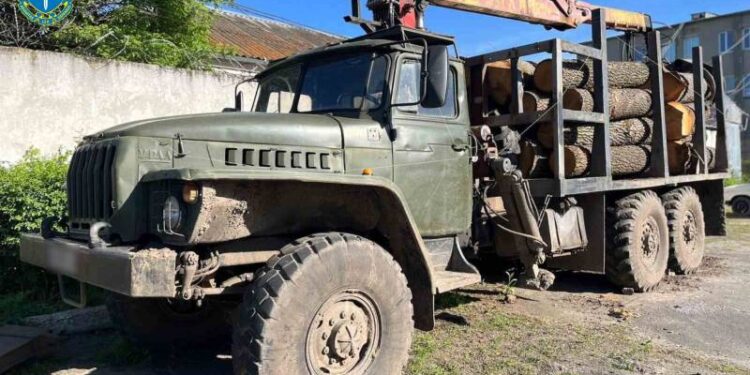 Cудитимуть злочинну групу, яка вирубувала столітні дуби під «кришуванням» правоохоронця —Хмельнитчина