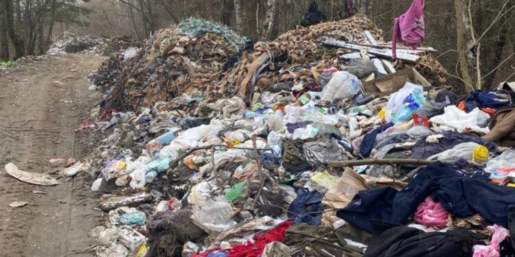 Гори сміття на узбіччях дороги: на Житомирщині екологи виявили сміттєзвалище | Журнал Житомира