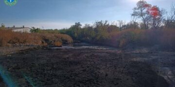 На Чигиринщині керівник дільниці одного з підприємств зливав відходи, якими забруднив понад 20 гектарів землі 